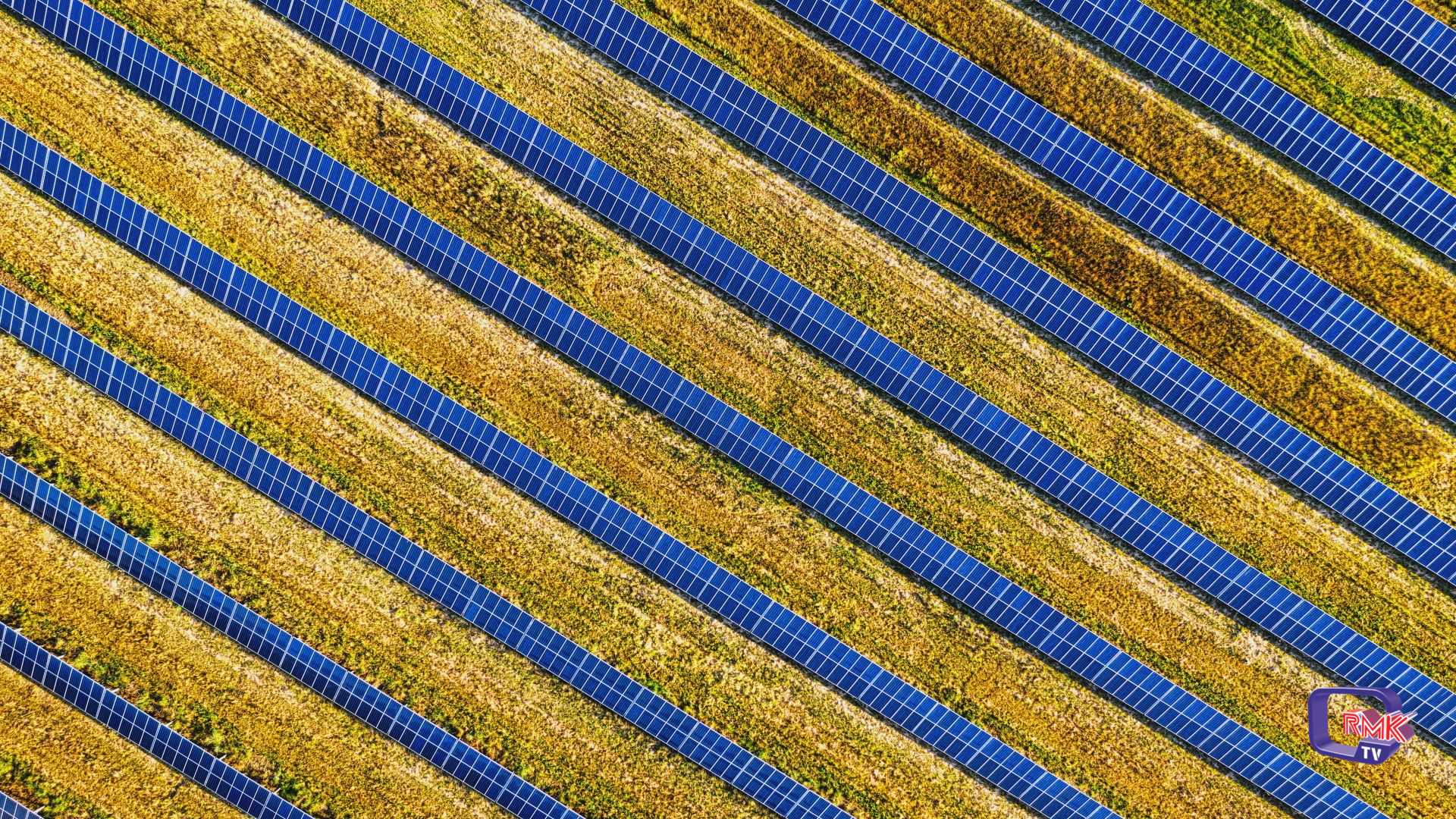 Energie pulite. Cresce l'agrovoltaico, ma i Verdi temono fenomeni speculativi