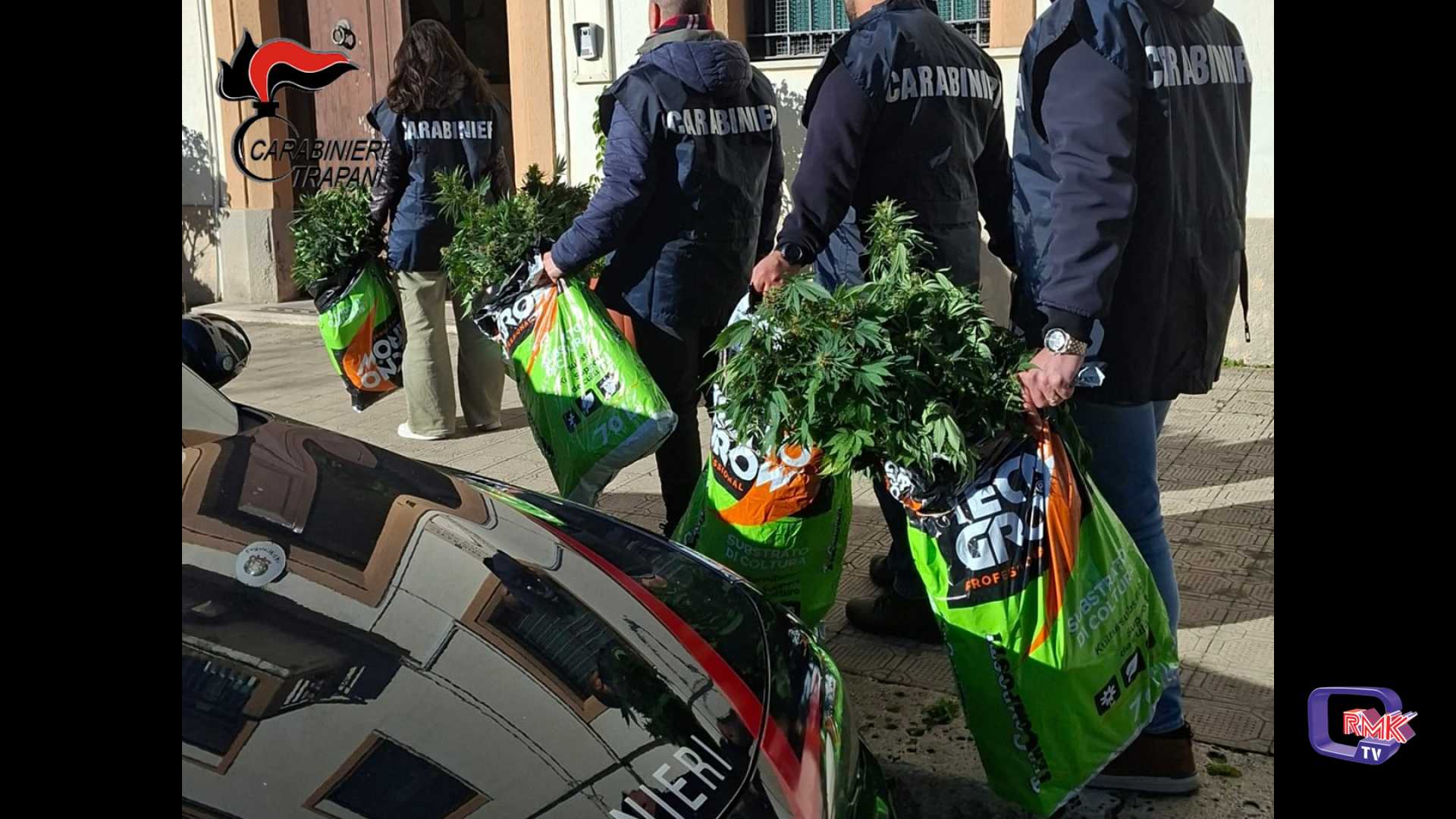 Alcamo: allacciato alla corrente pubblica coltivava 133 piante di marijuana. Arrestato 43enne palermitano
